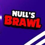 Null Brawl